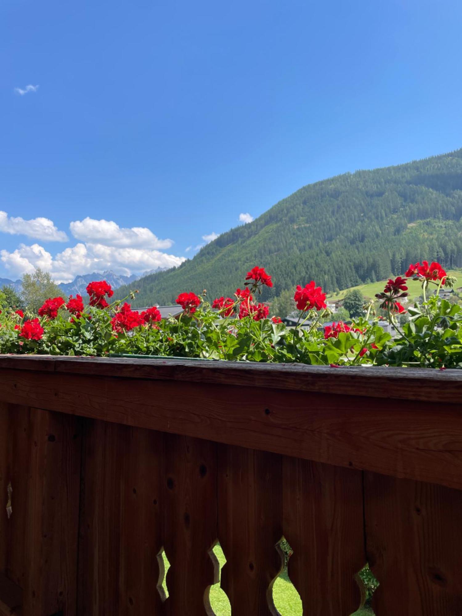 Wimmhof Apartment Sankt Martin am Tennengebirge Ngoại thất bức ảnh