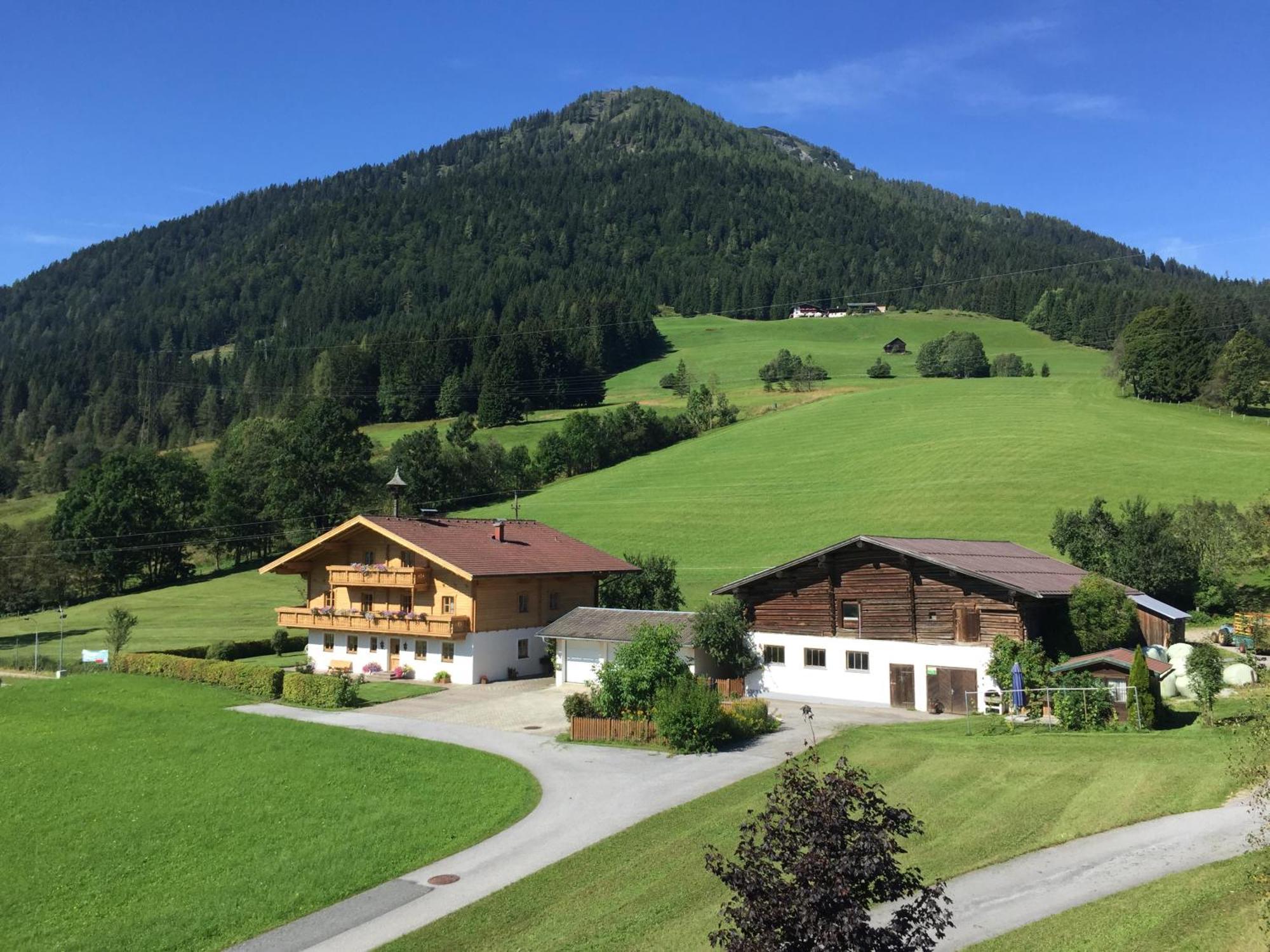 Wimmhof Apartment Sankt Martin am Tennengebirge Ngoại thất bức ảnh